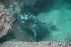 image8