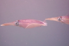 image9