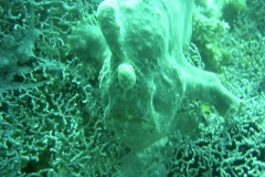 image13