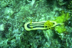 image19