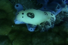 image20