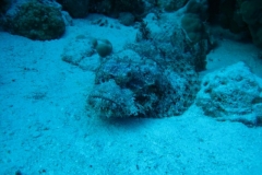 image7