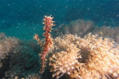 image10