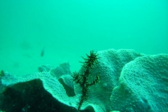 image12