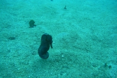 image14