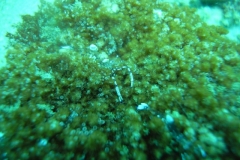 image15