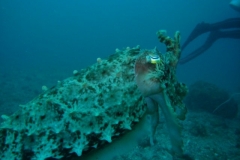 image3