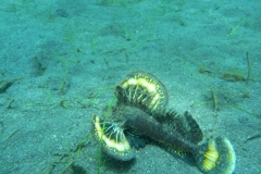 image4