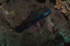 image9